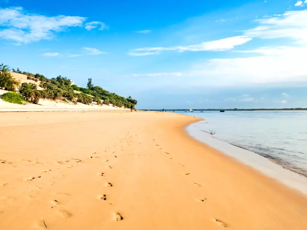 Golden sands meet tranquil waters at the pristine shores of Bazaruto Island, Mozambique, a serene escape for nature lovers and adventurers alike.