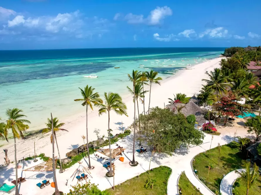 Idyllic tropical beach with palm trees and turquoise waters in Zanzibar, perfect for luxury vacations and serene getaways.