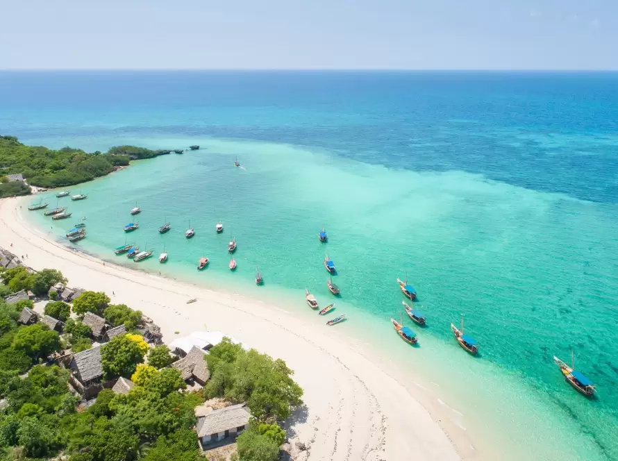 Safaris to Shores: Great Value Tanzanian Fiesta