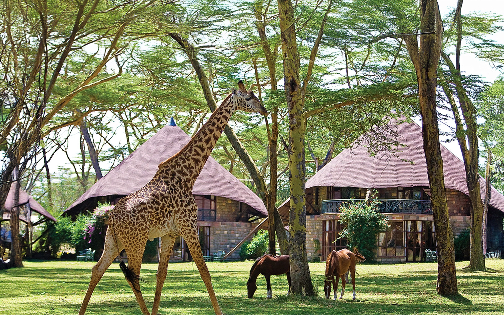 Lake Naivasha Sopa Resort Kenya Africa Travel Designers