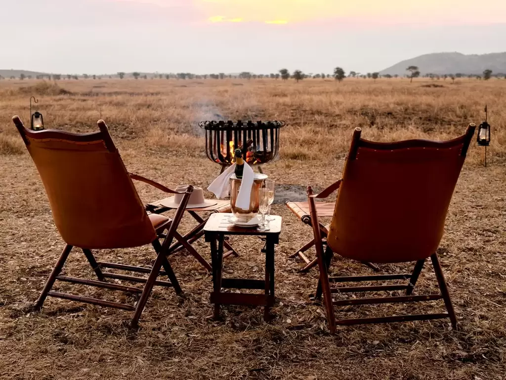 Romantic safari fireside setup with champagne for a honeymoon evening in Africa. 
