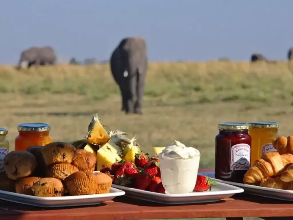  	Sundowner with elephant views on a luxury African safari in Tanzania, designed by trusted travel experts.	The Real Luxury of a Well-Planned Safari