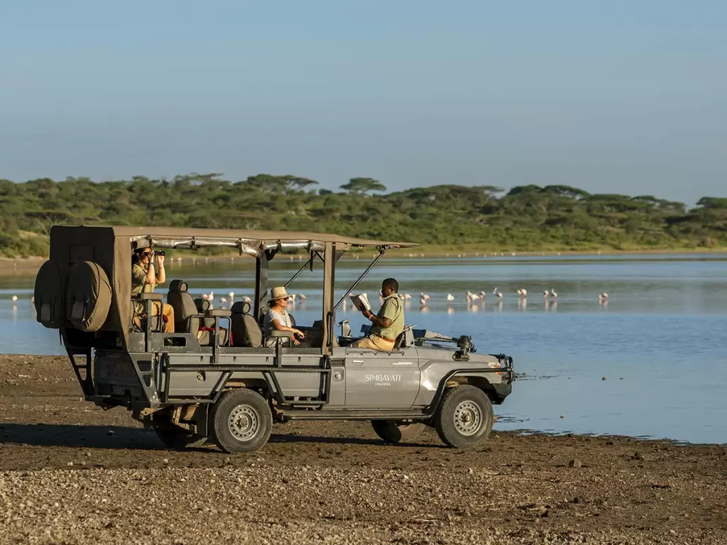 Luxury African safaris beside Lake Ndutu with game drives, flamingos, open vehicles, and expert guides.