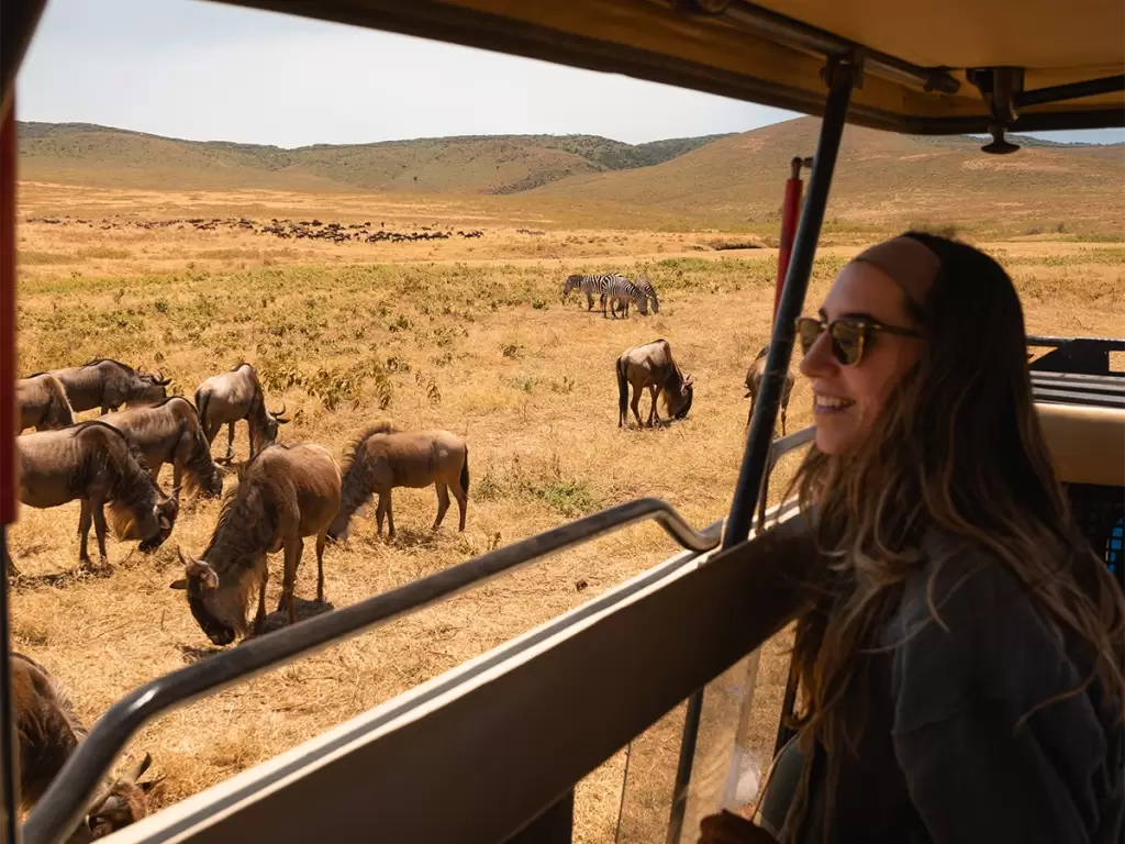  	Luxury African safari game drive with wildebeest in Tanzania’s Ngorongoro Crater.	Where Expert Eyes Turn Wild Moments into Luxury Memories