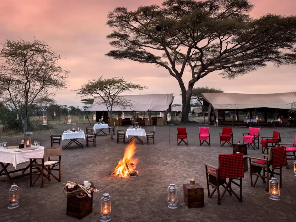 Luxury African safaris with lantern-lit bush dinners and tents in the Serengeti under sunset skies.
