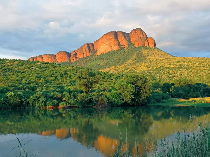 South Africa Safari Grandeur: Big Five Adventures & City Charms