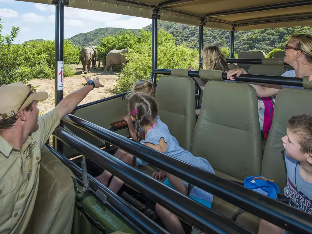 Safe African safari with kids enjoying thrilling game drive and elephant sightings in protected wilderness.